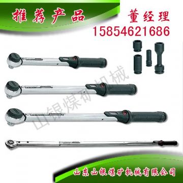 點擊查看詳細信息<br>標題：顯示扭力扳手 閱讀次數：1867